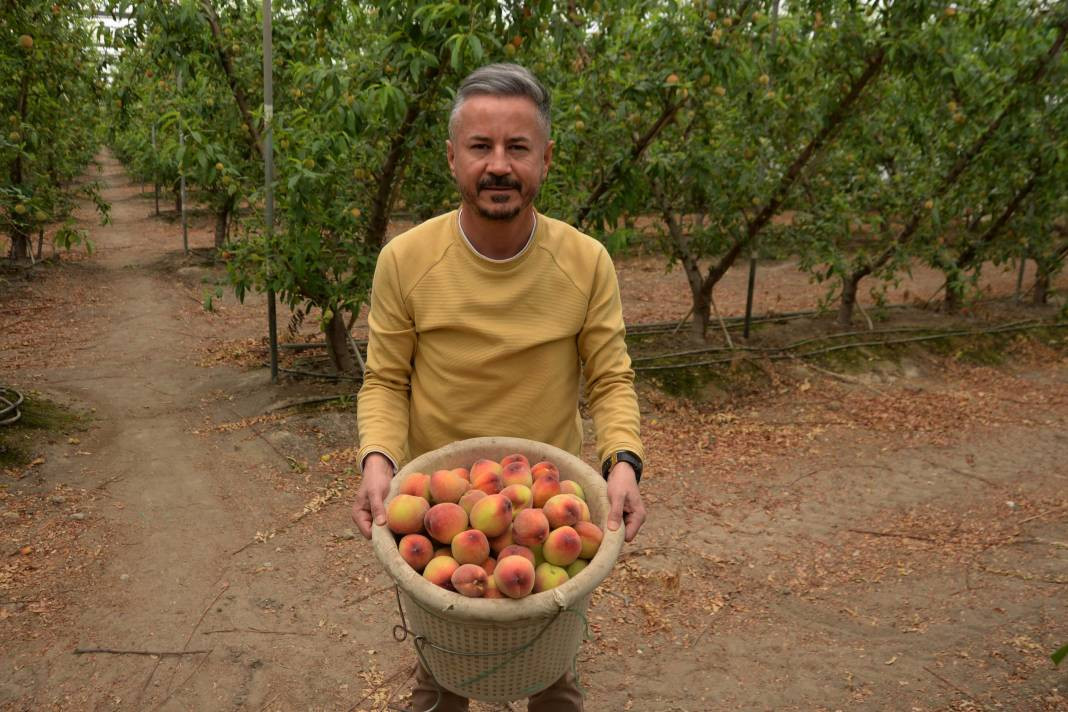 Kilosu 300 liradan ihraç ediliyor. Hadi Bismillah hasat dönemi başladı - Resim: 7